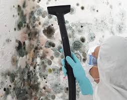 Best Mold Remediation for Healthcare Facilities  in Grandyle Village, NY